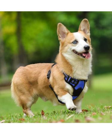 Rabbitgoo No-Pull Dog Harness for Medium Dogs - Adjustable & Breathable with Reflex Stripes - Safe Control Guidance - 1 Pack Blue - Buy Online on GoSupps.com