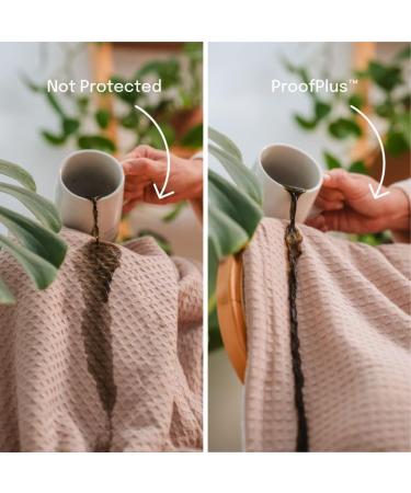 ProofPlus Home Fabric Protector 6.8oz - PFAS Free Liquid & Stain Repellent Spray | International Shipping Available - Buy Online on GoSupps.com