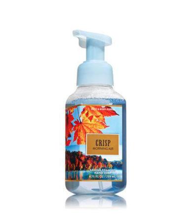 Bath and Body Works Gentle Foaming Hand Soap Crisp Morning Air