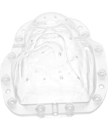 GANAZONO 2pcs Fruit Shaping Mold Fruit Shaping Tool Fruit Forming Mould Fruits Mold Stereotypes Ginseng Fruit - Buy Online on GoSupps.com