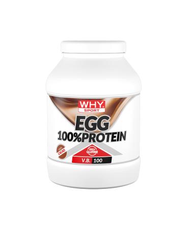 WHY SPORT EGG 100% Protein - Protein without Lactose - Protein Powder - Egg Albumin Protein - Cocoa Flavor - 750 g
