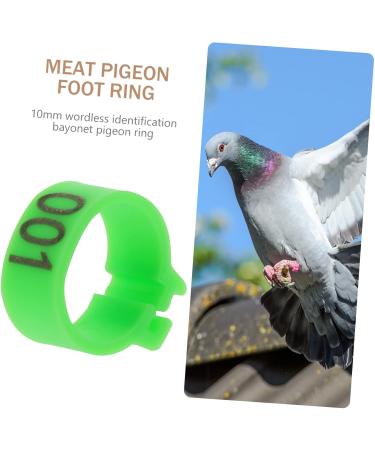 CIYODO 100 pcs Chick Colorful Quail Things Ring Anklet Pet Cockfighting Dove Parrot Feet Numbered 1.3X1.3CM Green - Buy Online on GoSupps.com