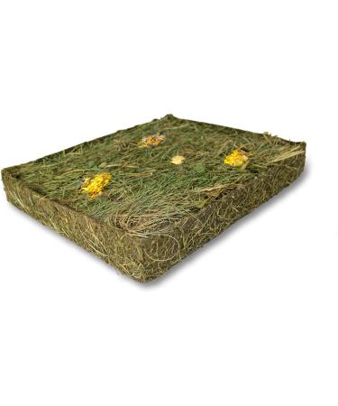 JR FARM ESN Herbal Meadow with Dandelion 750g - Premium Pet Treats for Healthy Pets | International Shipping Available - Buy Online on GoSupps.com