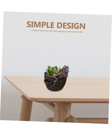 Artibetter House Flower Pot airplants Artificial air Plants Micro Landscape Succulent Plant Succulents Hanging Pot Flower Pots Indoor Dining Table Decor - Buy Online on GoSupps.com
