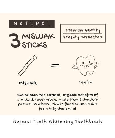 Miswak Sticks for Teeth - Natural Toothbrush No Toothpaste Needed Siwak Chew Sticks (1 Pack - Buy Online on GoSupps.com