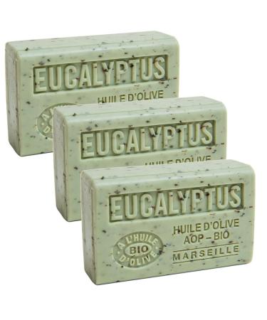 Savon de Marseille - French Soap Made With Pure Organic Olive Oil and Shea Butter - Eucalyptus Fragrance - 125 Gram Bars - Set of 3