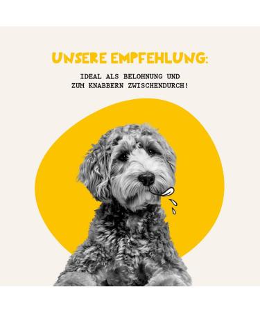 Dogs'n Tiger 100% Meat Dog Treats Species-specific dog treats without sugar grains or artificial flavors Well tolerated (Chicken Breast Fillet Pieces) - Buy Online on GoSupps.com