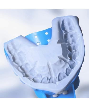 10x Disposable Autoclave Perforated Impression Spoon Set - Dentist Tools & Accessories - 10 Tooth Holder Pressure Spoons - Buy Online on GoSupps.com