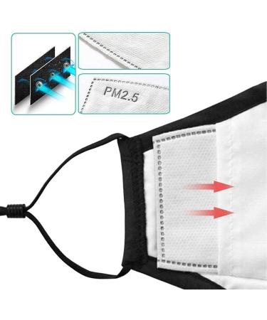 100PCS PM 2.5 Activated Carbon Filters - 5 Layer Anti Haze Filter Paper - Pack of 100 - Buy Online on GoSupps.com