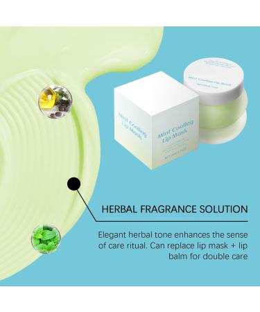  Generisch Lip mask mint lip treatment Korean overnight lip treatment soft texture herbal 20g - Buy Online on GoSupps.com