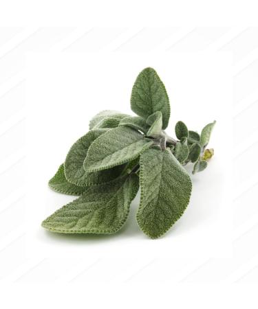 Organic Dried Sage Leaves 25g Bag - Fragrant & Flavorful | Artisan Italia | Cooking Seasoning & Spices - Buy Online on GoSupps.com