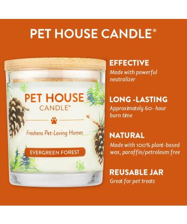 One for All Pet House Candle - Evergreen Forest | 100% Non-Toxic & Eco-Friendly Air Freshener | Remover for Home Odors - Buy Online on GoSupps.com