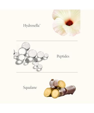 Buy SHANI DARDEN SKINCARE Hydration Peptide Cream | Best Oil-Free Moisturizer for Dry Skin | 72 Hours Hydration 2.5 fl oz | International Shipping Available - Buy Online on GoSupps.com