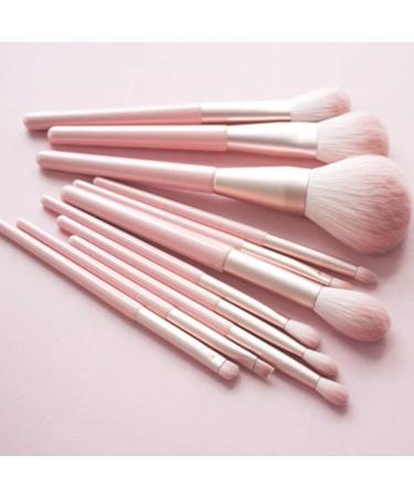 12-Piece Soft Makeup Brush Set - Eye Shadow Blush & Foundation Brushes - Easy to Clean for Flawless Application - Buy Online on GoSupps.com