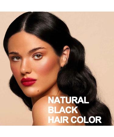 3-IN-1 Herbal Black Hair Dye Shampoo - Instant Gray Coverage & Nourishing for All Hair Types - 500ml - Buy Online on GoSupps.com
