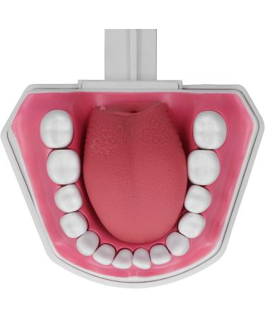 Vomeko Tooth Brushing Practice Model for Kids - Ideal Training Set with Brush - International Shipping Available - Buy Online on GoSupps.com