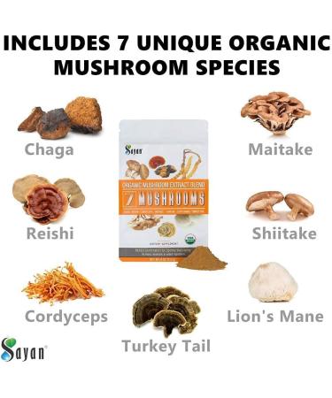 Chaga Mix Supplements - Shilajit Resin (30 g) 7 Mushroom Extract Powder Chaga Extract + Reishi Extract Capsules (90 Capsules) Chaga Mushroom Tea (20 Bags) - Buy Online on GoSupps.com
