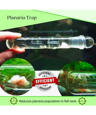 Crystal Red Shrimp Tank Planaria Trap - Bristle Worm Catcher for Cherry Shrimp, Dwarf Shrimp & Ghost Shrimp - Freshwater Cleaning Supplies - Buy Online on GoSupps.com