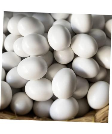 Housoutil 12pcs Bird Supply Festival Eggs Minieggs Portable Simulated Egg Xuan Feng Plastic White Parrot 1.9x1.6cm White - Buy Online on GoSupps.com