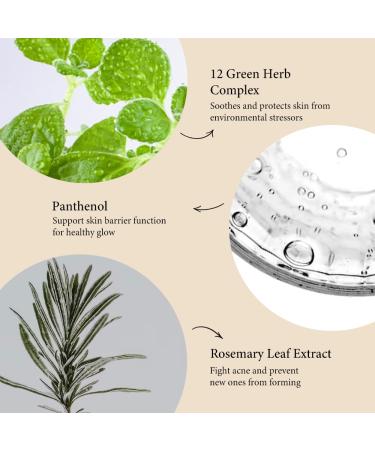 Fraijour Herb Wormwood O Mask Pack Korean Oxygen Bubble Face Mask for Sensitive Oily & Acne-Prone Skin Exfoliating with AHA BHA Tea Tree & Peppermint Smooths & Refreshes 10.1 fl.oz. - Buy Online on GoSupps.com