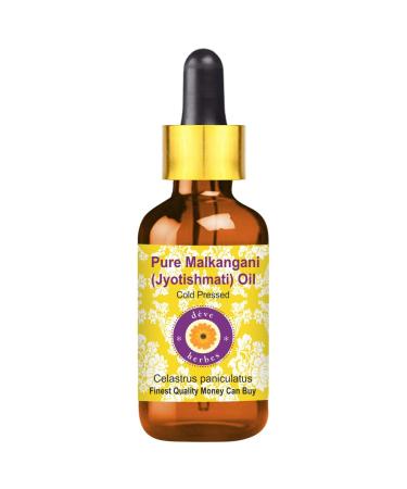 d ve herbes Pure Malkangani (Malkangani/Jyotishmati Oil (Celastrus paniculatus) with Glass Dropper Cold Pressed 30ml (1 oz)