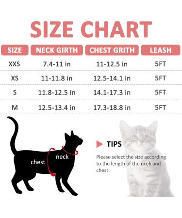 Reflective Mesh Cat Harness and Leash Set - Escape Proof Kitten and Puppy Vest - Comfort Fit and Lightweight - Easy Control - Small Blue - Buy Online on GoSupps.com