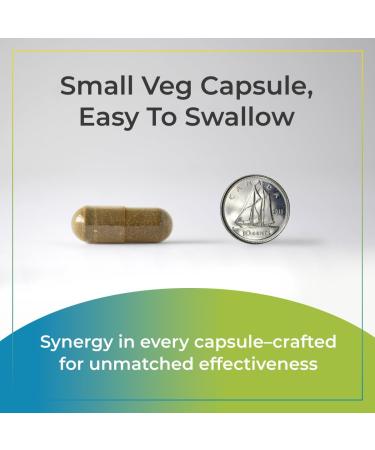 Synergy Holistics | Vision Synergy - Preserve and Support Visual Function Eye Health Supplement Featuring 13 Synergistic Herbs & Nutrients including FloraGLO Lutein Bilberry Eyebright L-Taurine & OptiBerry  - Buy Online on GoSupps.com