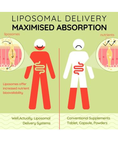 High Strength Liposomal Vitamin B Complex for Energy and Brain Support - Tropical Flavour | 8 Essential B Vitamins (60 Servings) - Buy Online on GoSupps.com