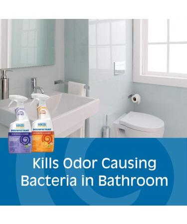 Gonzo Natural Magic Disinfectant Spray & Multipurpose Cleaner - Lavender Value Pack (24 oz & 128 oz) | Odor Eliminator Flood & Fire Damage Restoration - International Shipping Available - Buy Online on GoSupps.com