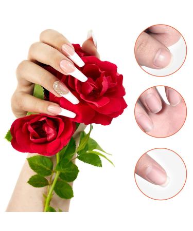 LABOTA 500pcs Acrylic Nail Forms - Gold Horseshoe Tips for Acrylic & UV Gel Extensions - Buy Online on GoSupps.com