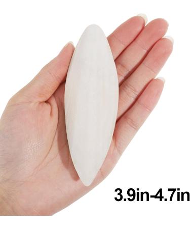 Natural Sepia Bowls for Turtles Birds & Reptiles - 6 Pack (10-12cm) | Calcium & Mineral Care - Buy Online on GoSupps.com