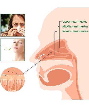 Onnature Organic Herbal Lung Cleanse & Repair Nasal Spray Pro - Relieve Nasal Congestion Naturally | 1PCS - Buy Online on GoSupps.com