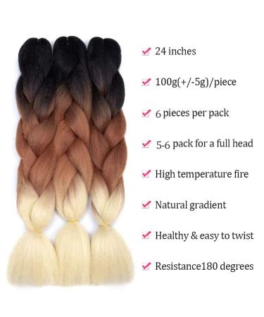 3 Packs Ombre Kanekalon Jumbo Braiding Hair Extensions - 24 Inch Synthetic Crochet Twist (C15-6Pack) | International Shipping Available - Buy Online on GoSupps.com
