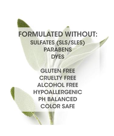 SEVEN Haircare KENTE BOND Shampoo | Sulfate-Free Cruelty-Free for Split Ends & Damaged Hair | Green Tea & Pro Vitamin B5 | 10.8 Fl Oz - Made in USA - Buy Online on GoSupps.com