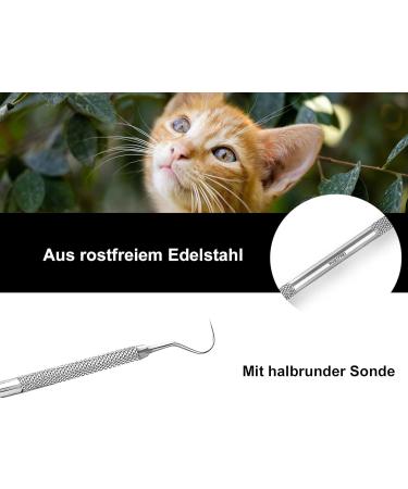 Effective Dog Tartar Remover - Stainless Steel Dental Care Tool for Pets | Pointed & Round Tooth Cleaner - Buy Online on GoSupps.com