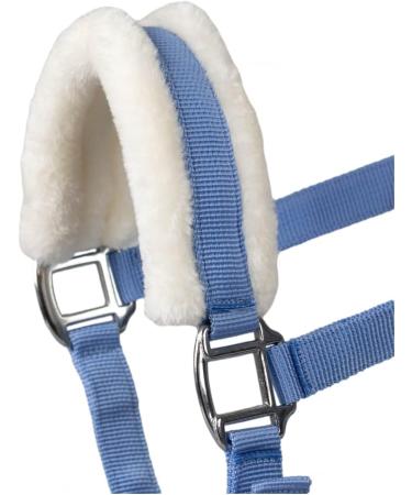 Halter with Plush Padding BASICLINE in Baby Blue for Shetty Pony Thoroughbred & Warmblood - 6 Colors Available | International Shipping - RL24 - Buy Online on GoSupps.com
