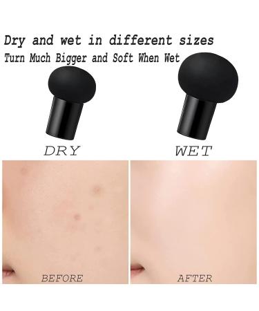 Sumeitang Mushroom Air Cushion CC Cream Liquid Foundation | Moisturizing BB Cream for Dry Skin | Even Skin Tone Makeup Base - Natural - Buy Online on GoSupps.com