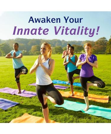 Magnesium Glycinate 500mg | 240 Vegetarian Capsules | Non-GMO & Gluten-Free | Supports Muscle, Nerve & Heart Health | 8-Month Supply - Buy Online on GoSupps.com