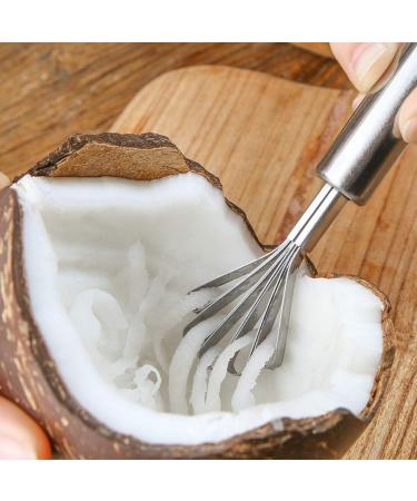 Buy QANYEGN Stainless Steel Coconut Scraper & Shaver Multipurpose Kitchen Tools for Easy Coconut Preparation - Buy Online on GoSupps.com