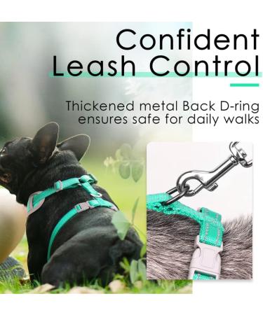 Thinkpet No-Pull Dog Harness Leash Set | Adjustable Breathable Safety Harness for Small Medium & Large Dogs - Green - Buy Online on GoSupps.com
