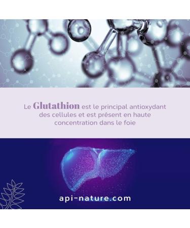 Nivelhepa 40 Capsules | Milk Thistle Artichoke Extract Choline Chlorella SAMe and Glutathione | Liver Protection and Detoxification | Liver Detox Api-Nature - Buy Online on GoSupps.com