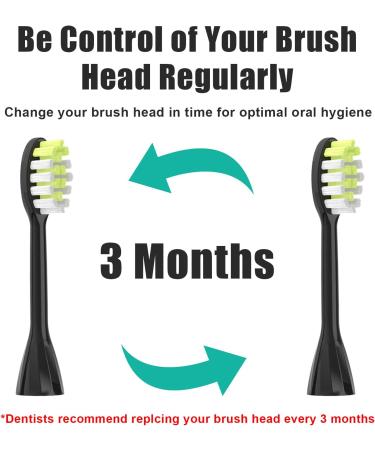 SAREAL Replacement Toothbrush Heads Compatible with Philips One Series Sonicare 5 Pack Rechargeable Brush Heads for HY1200/05 & BH1022/05 (Black - Buy Online on GoSupps.com