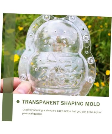 Anneome 2pcs Vegetable Shaping Mold Fruit Cucumber Shaping Molds Adorable Melon Mold Watermelon Pumpkin - Buy Online on GoSupps.com