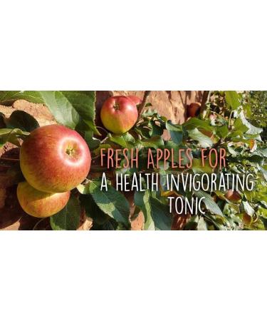  Ancient Purity Apple cider vinegar - 500 ml with unpasteurized mother - Buy Online on GoSupps.com