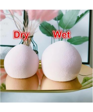  SBTRKT 10/20/30pcs Soft Puff Sponge for Foundation Cosmetic Marshmallow Wet Dry Use Beauty Makeup Powder High Elasticity Wholesale (Color:10pcs) - Buy Online on GoSupps.com