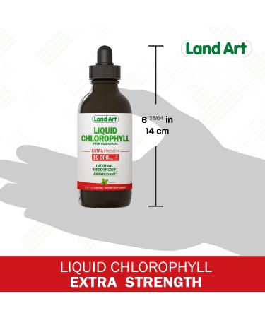 Extra Strength Mint Flavored Liquid Chlorophyll Drops | Cold Extracted from Wild Non-GMO Alfalfa | Detox & Alkaline | Natural Body Deodorant | Antioxidant | 3.38 fl oz - Buy Online on GoSupps.com