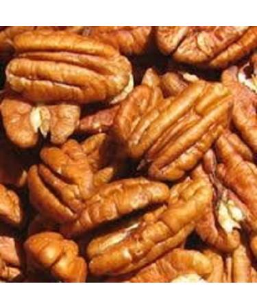 Farm Fresh Nuts Brand Whole Shelled Dry Roasted Georgia Pecans with Himalayan Salt - 1 lb. Pack - Vegan & Keto Friendly Southern Delight - Buy Online on GoSupps.com