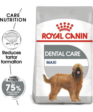 ROYAL CANIN Maxi Dental Care - 9 kg - Buy Online on GoSupps.com