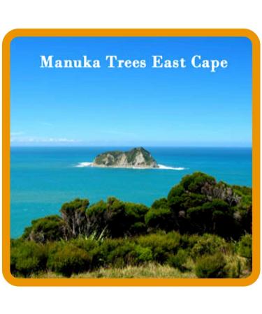 Extra Potent Manuka Oil 40+ | Pure East Cape Essential Oil | High Triketone from New Zealand - Buy Online on GoSupps.com