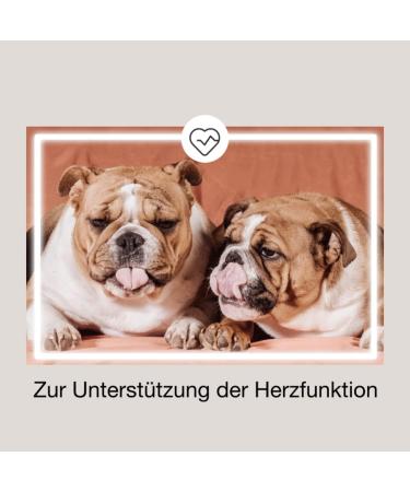 CaniMove 300 Capsules - Cardio Mini Supplement for Dogs | Supports Heart Function | Buy Online Internationally - Buy Online on GoSupps.com